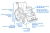 SIMPLE-TIM-wymiary_compressed.webp