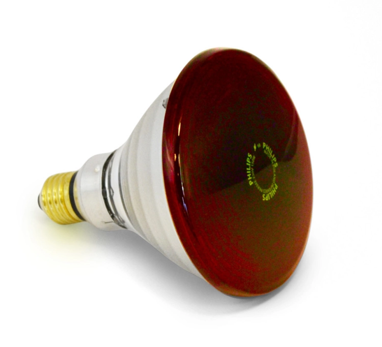 Żarówka podczerwień Philips 150W Sollux na bóle mięśni i stawów