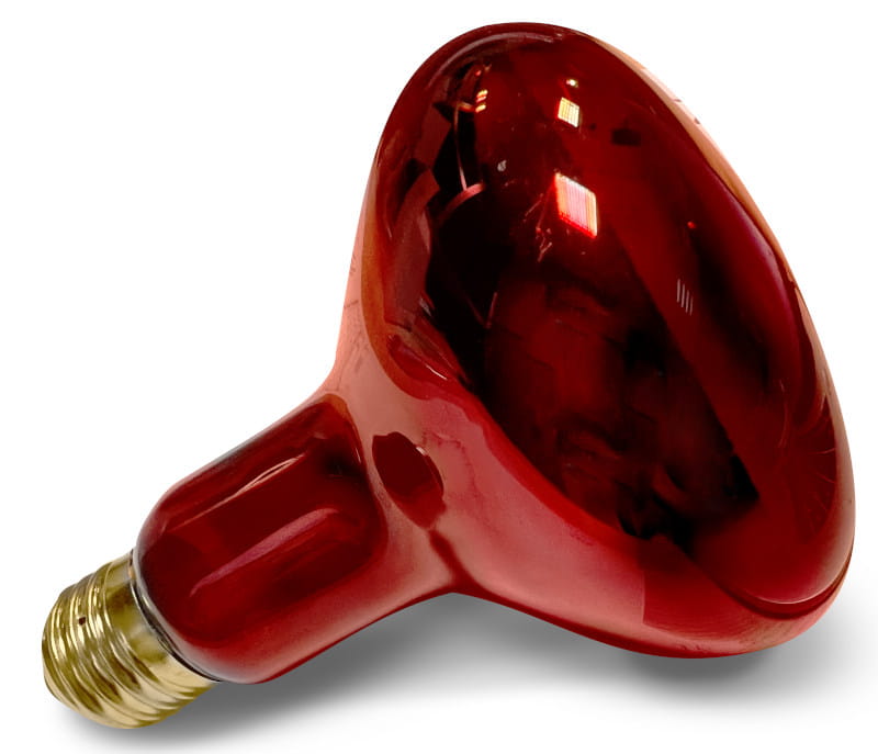 Żarówka czerwona do lampy leczniczej grzewczej.